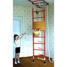 Basketball Hoop (designed for Monkey Gym)