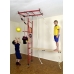 Monkey Gym Standard (with 1 protective mat)